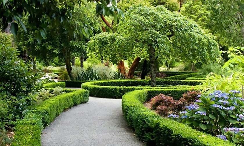 مدیر سرویس فضای سبز